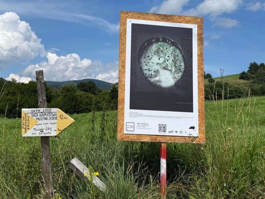 Galeria 2750 otwarta po raz trzeci – prace Marty Chrobak już na szlaku! 2 527531137 1118479393712143 2593968483998578620 n